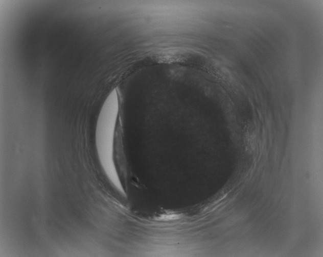X0000071920219200608041443
