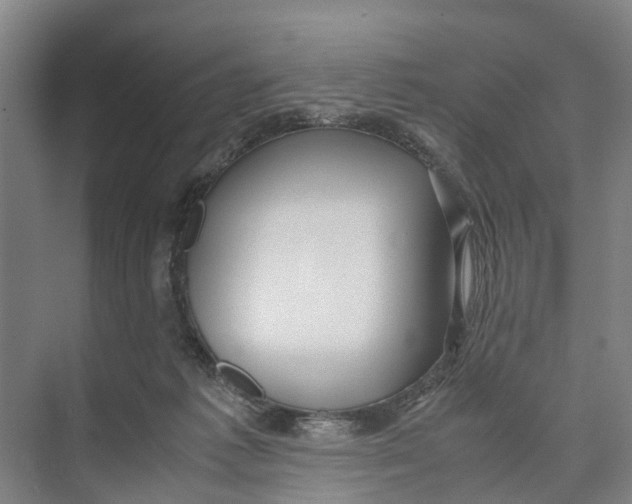 X0000071920221200608041443