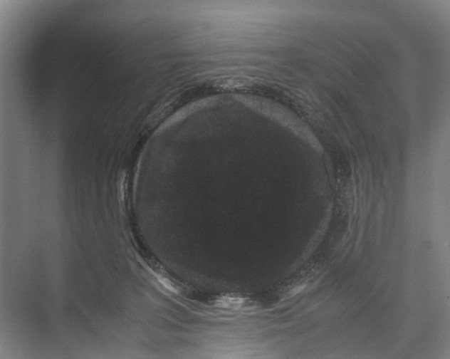 X0000071920227200608041443