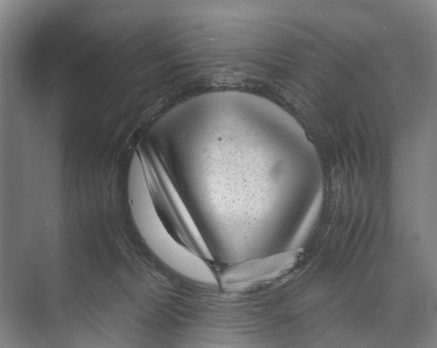 X0000071920228200608041443