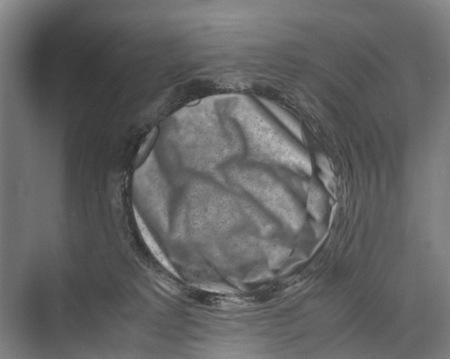 X0000071920229200608041443