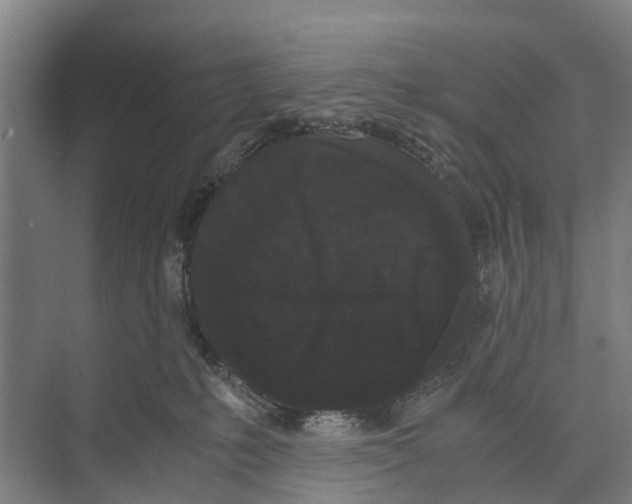 X0000071920231200608041443