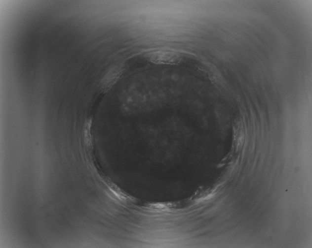 X0000071920239200608041443