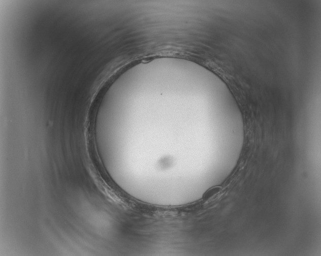 X0000071920242200608041442