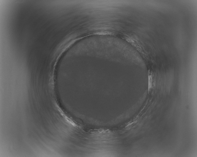 X0000071920243200608041442