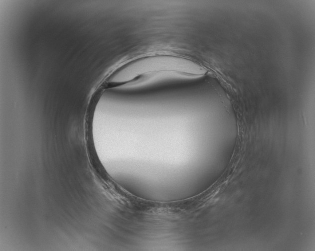X0000071920244200608041442