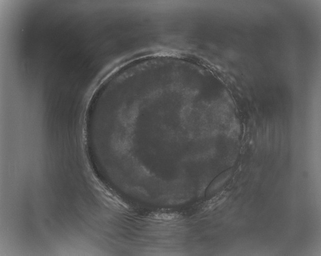 X0000071920247200608041442
