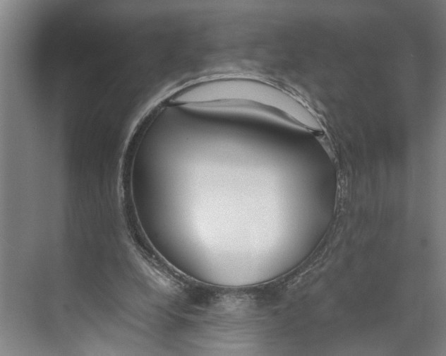 X0000071920248200608041442