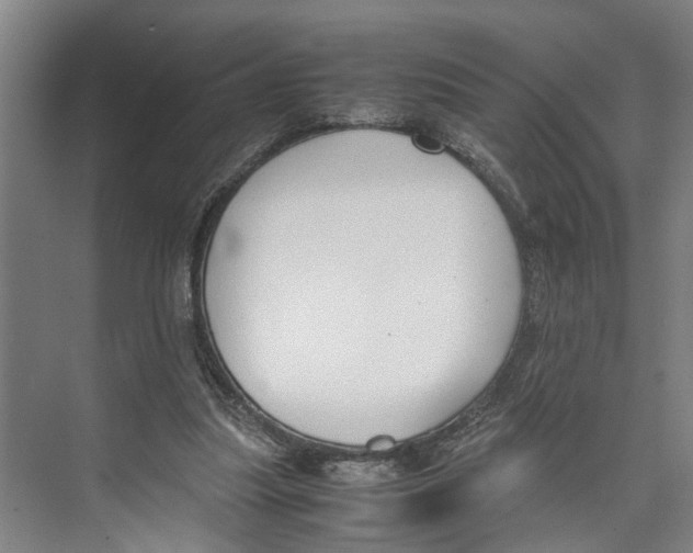 X0000071920251200608041442