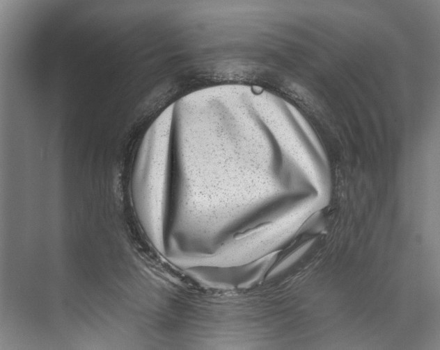 X0000071920258200608041442