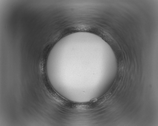 X0000071920268200608041442