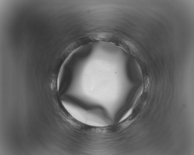 X0000071920284200608041443