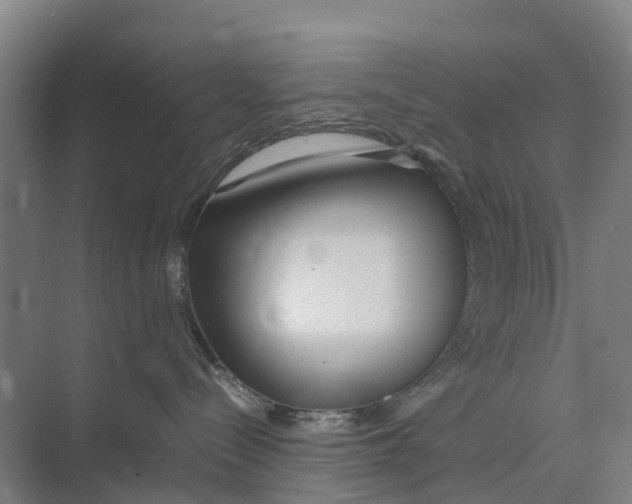 X0000071920288200608041443