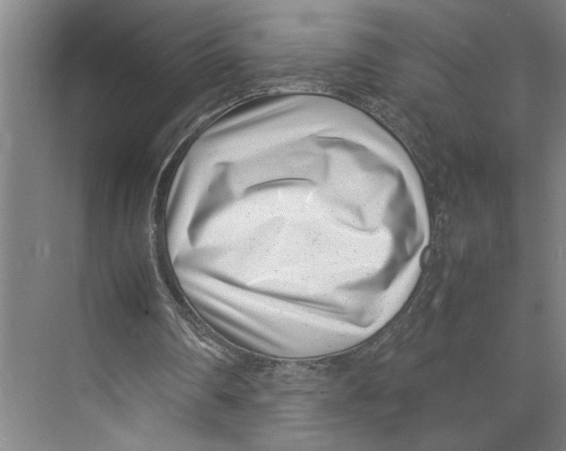 X0000071920290200608041442
