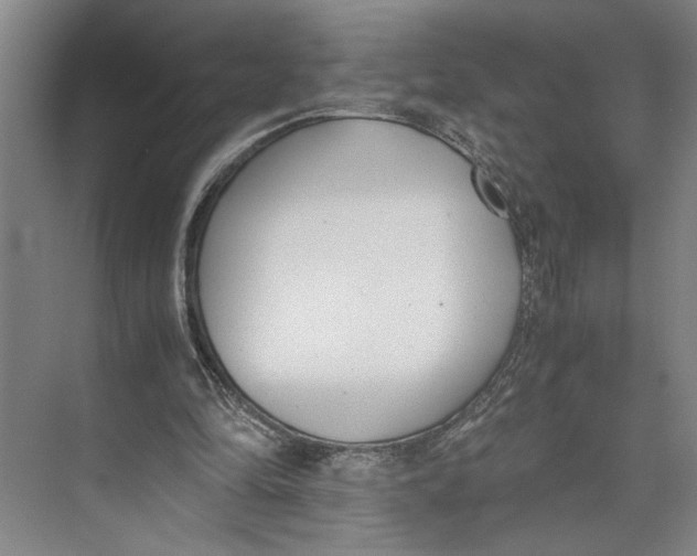 X0000071920294200608041442