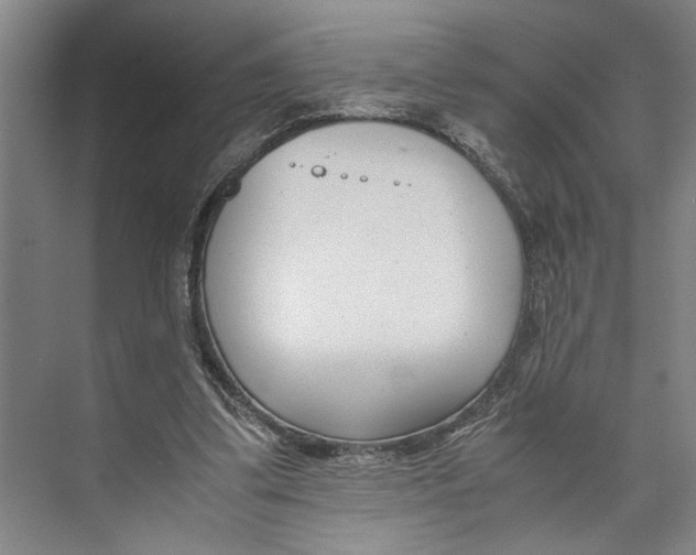 X0000071920299200608041442