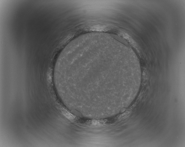 X0000071920305200608041442