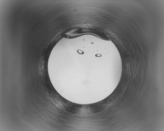 X0000071920308200608041442