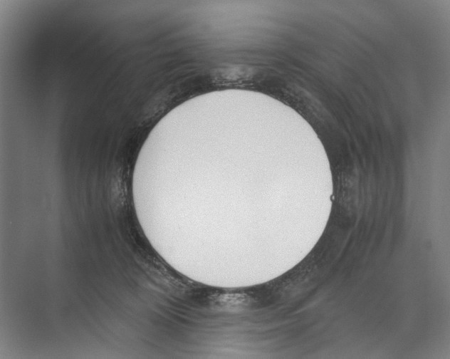 X0000071920324200608041441