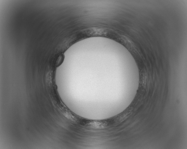X0000071920326200608041441