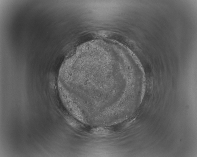 X0000071920331200608041441