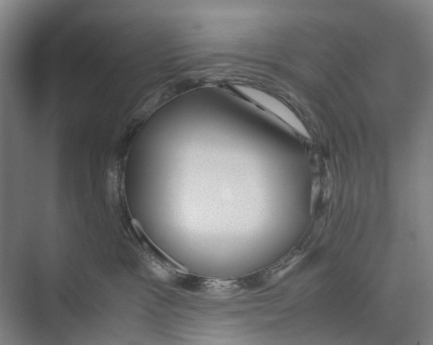 X0000071920333200608041441