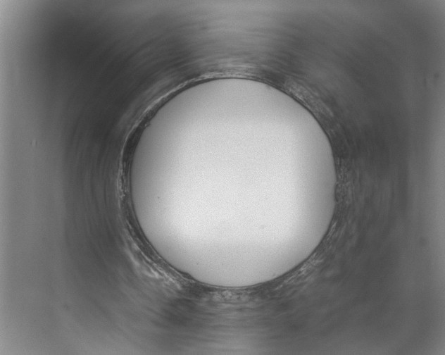 X0000071920338200608041440