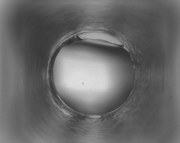 X0000071920340200608041440