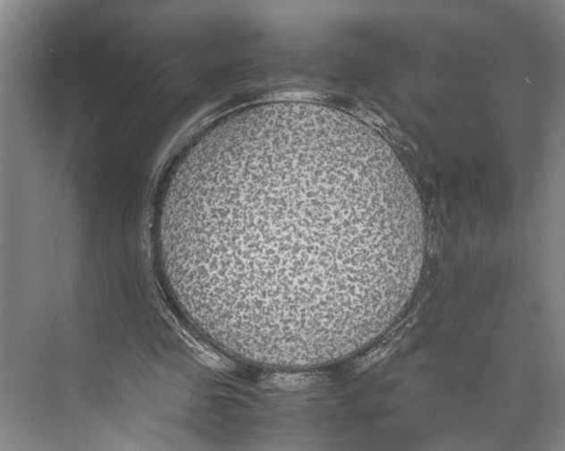 X0000071920341200608041440