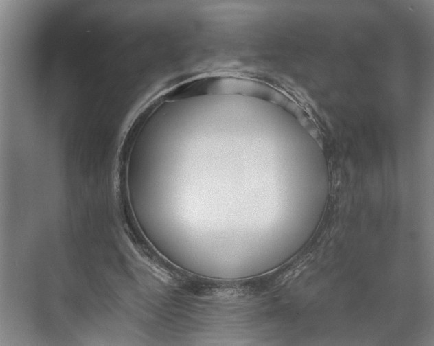 X0000071920344200608041440