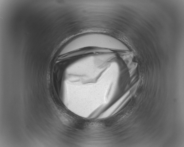 X0000071920348200608041441