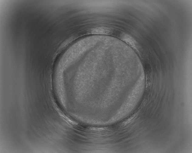 X0000071920349200608041441
