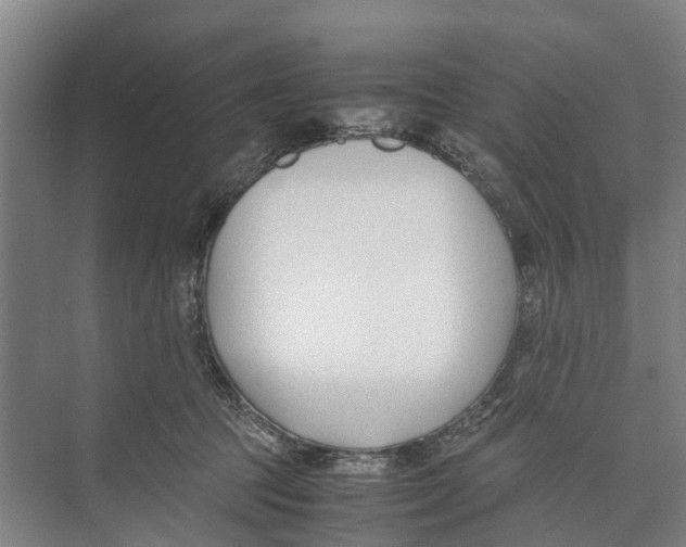 X0000071920369200608041441