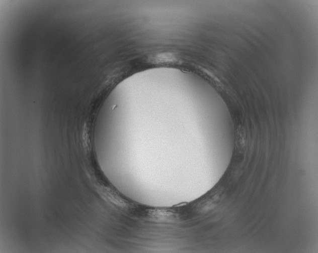 X0000071920380200608041441