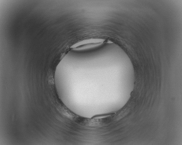 X0000071920384200608041441