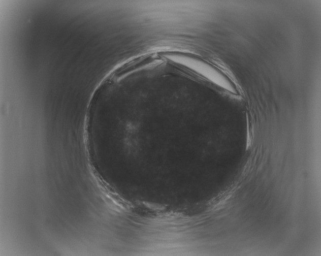 X0000071920387200608041440