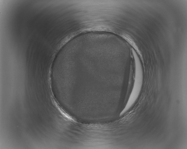 X0000071920389200608041440
