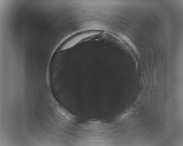 X0000071920391200608041440