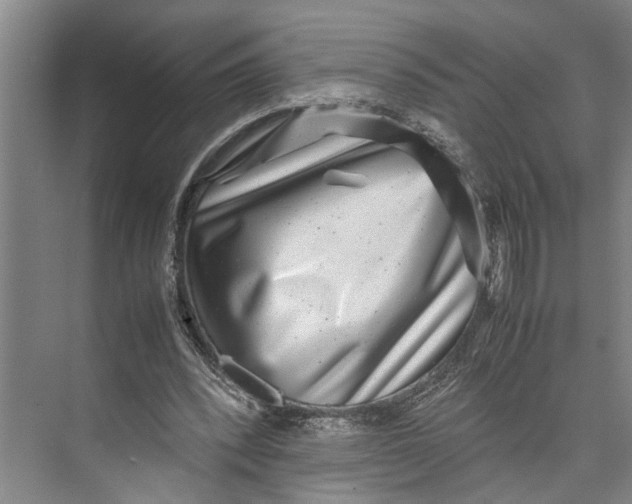 X0000071920392200608041440