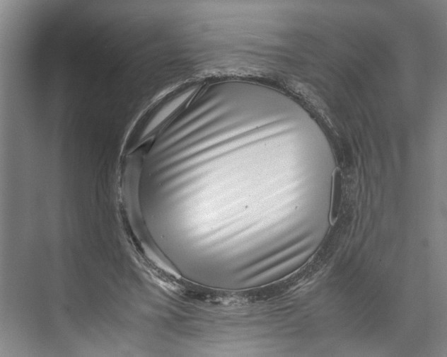 X0000071920395200608041440