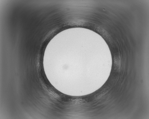 X0000071920396200608041440