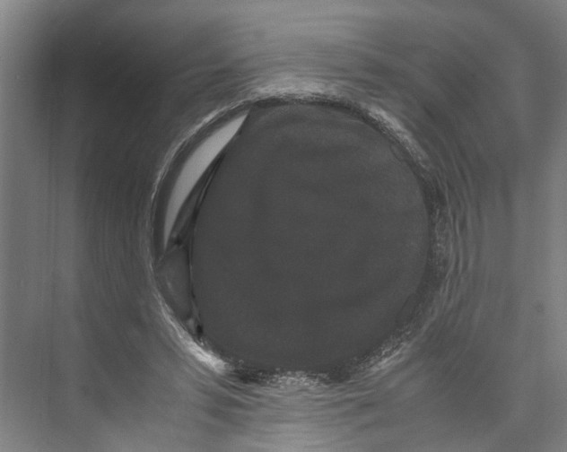 X0000071920399200608041440