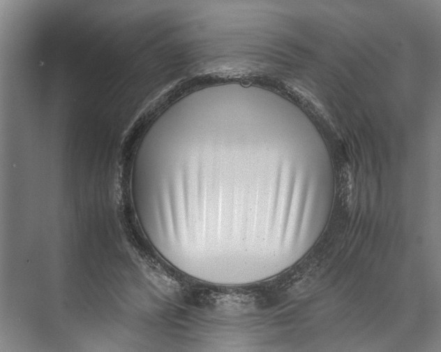 X0000071920400200608041440