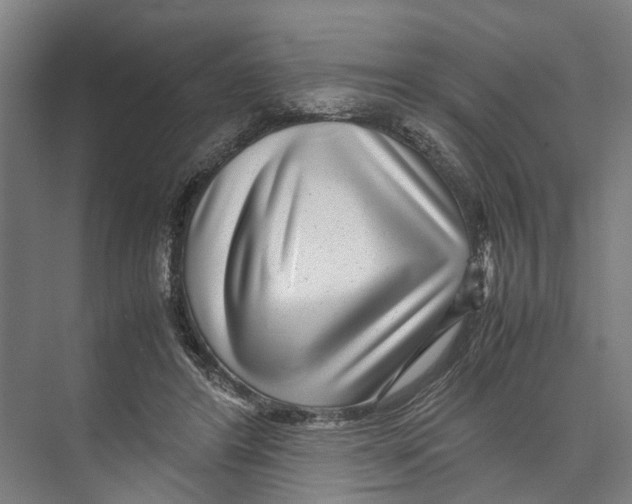 X0000071920404200608041440