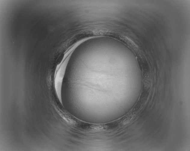 X0000071920405200608041440