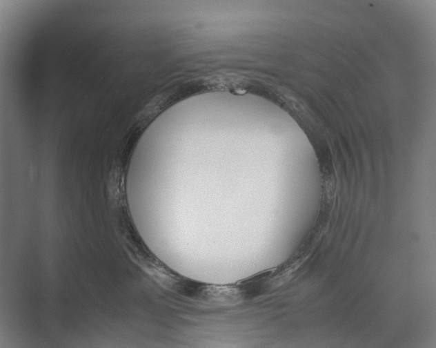 X0000071920429200608041440