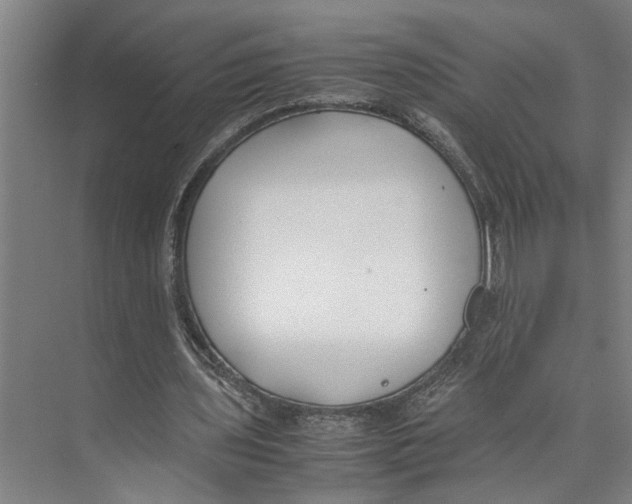 X0000071920435200608041439