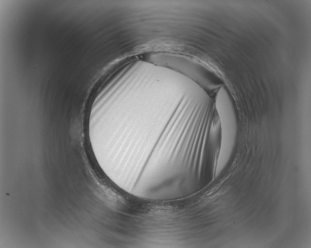 X0000071920438200608041439