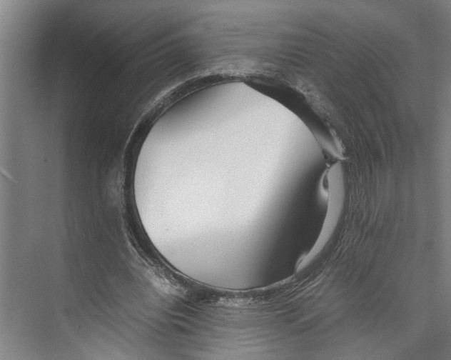 X0000071920440200608041439