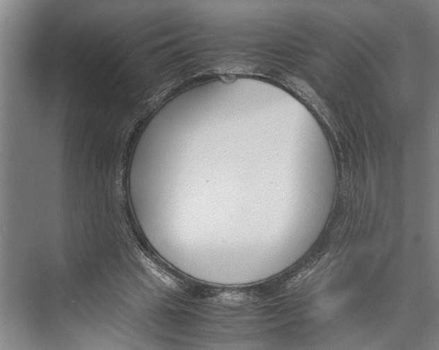X0000071920441200608041439